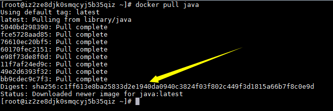 在Docker中安装JDK