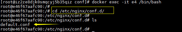 在Docker中安装Nginx
