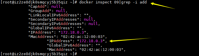在Docker中安装Redis以及主从环境搭建