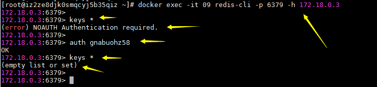 在Docker中安装Redis以及主从环境搭建